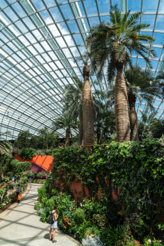 新加坡滨海湾花园