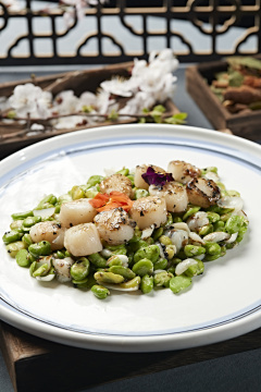 蚕豆百合炒贝丁,瑶柱,带子