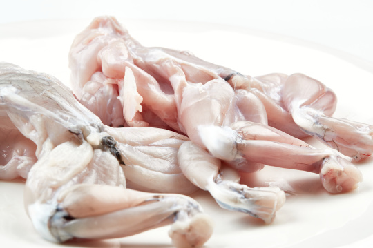 白色瓷盘装的现杀大牛蛙