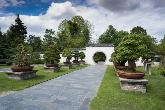 安徽歙县鲍家花园