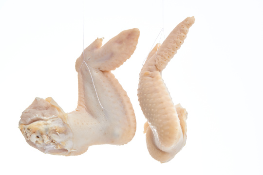 摆放在白色背景上分切好的生鲜鸡腿