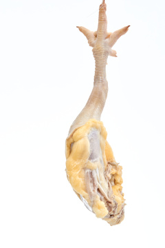 摆放在白色背景上分切好的生鲜鸡腿