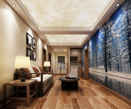 影视厅-生活品质的不断提升，家庭影院已经成为越来越多家庭娱乐的重要组成部分。家庭影院影视厅的设计技巧，包括空间规划、设备选择、照明设计、隔音处理等方面，帮助读者打造一个完美的家庭影院影视厅。