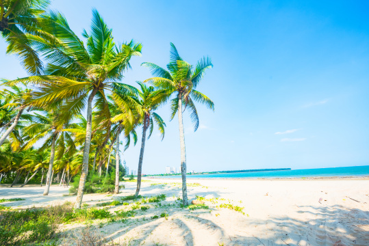 海南文昌高隆湾沙滩椰林美景