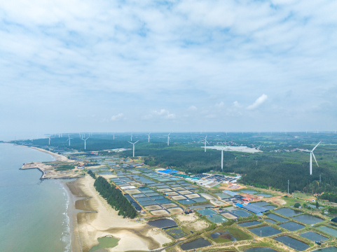 广东湛江徐闻县波罗的海海岸风力发电场
