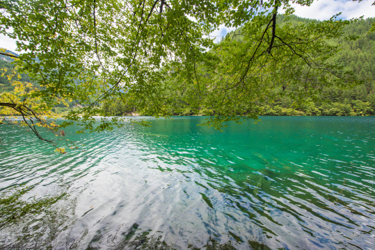 九寨沟里的蔚蓝湖泊