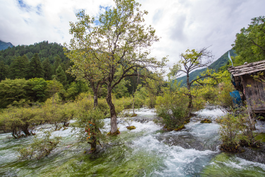 九寨沟里的靛蓝湖泊