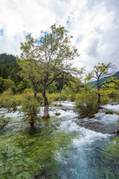 九寨沟里的靛蓝湖泊