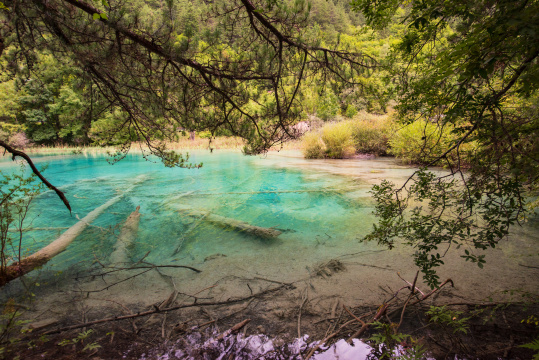 九寨沟里的靛蓝湖泊