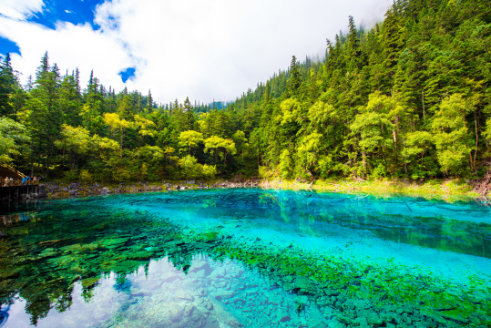 九寨沟里的靛蓝湖泊