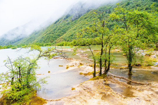 四川黄龙瑶池与云杉丛林