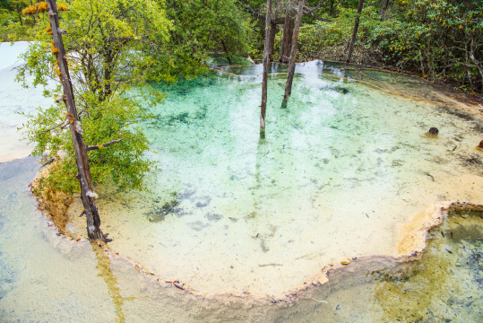 四川黄龙瑶池与云杉丛林
