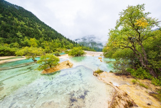 四川黄龙瑶池与云杉丛林
