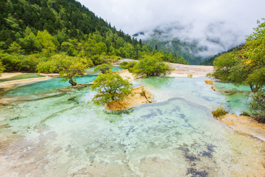 四川黄龙瑶池与云杉丛林