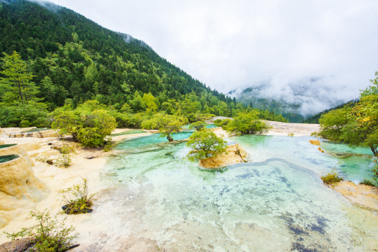 四川黄龙瑶池与云杉丛林