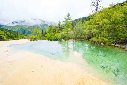 四川黄龙瑶池与云杉丛林