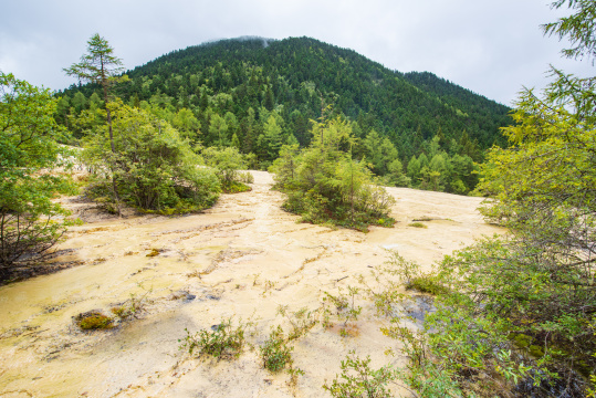 四川黄龙瑶池与云杉丛林