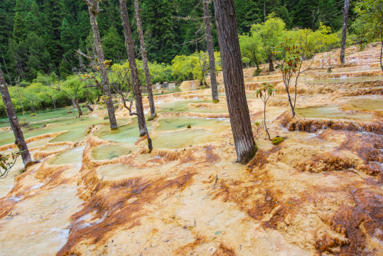 四川黄龙瑶池与云杉丛林