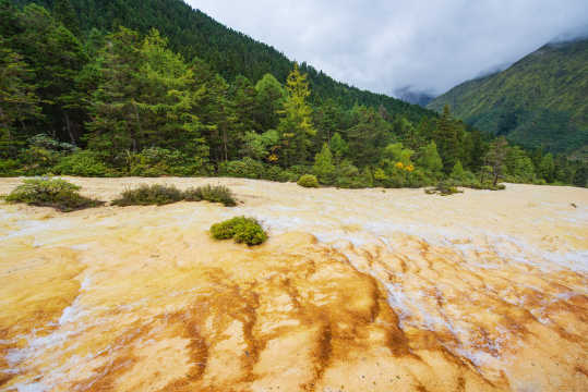 四川黄龙瑶池与云杉丛林