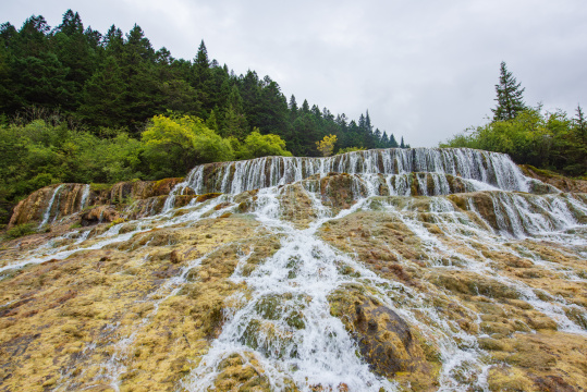 四川黄龙瑶池与云杉丛林