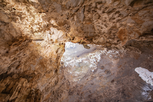 广西河池籼米洞
