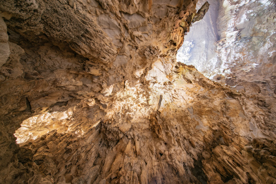 广西河池籼米洞