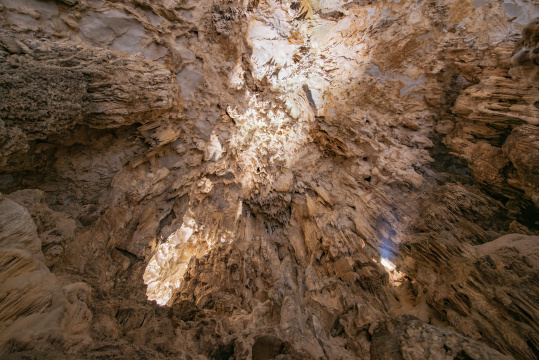 广西河池籼米洞