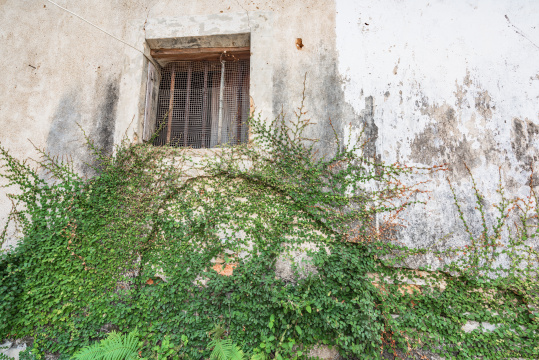 中国广东惠州市惠东县平海古城里贴上对联的民居