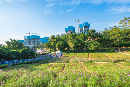 中国广东东莞凤岗龙凤山庄里的城堡