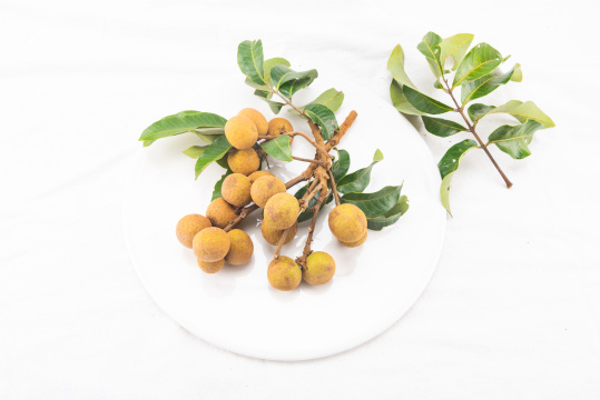 白色背景上的几串龙眼