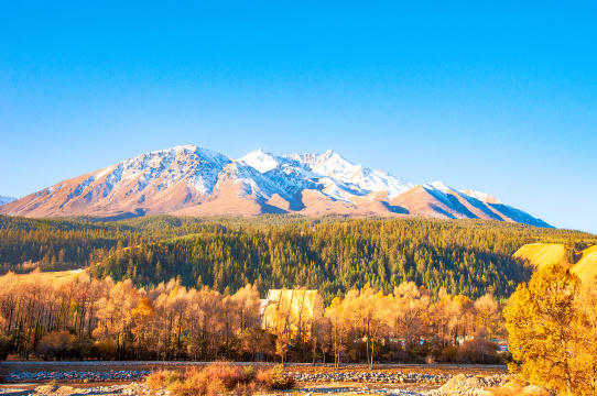 中国青海祁连县深秋夕阳西下的金色美景