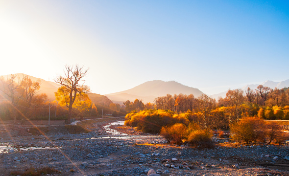 中国青海祁连县深秋夕阳西下的金色美景