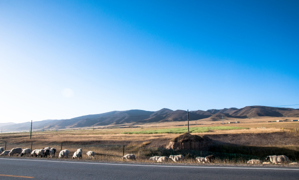 青海湖环湖骑行途中美景