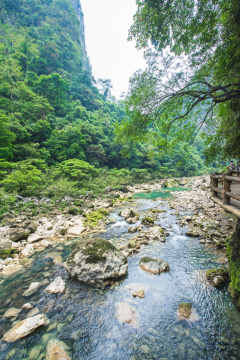 中国贵州黔南荔波县大七孔景区内的溪谷风光