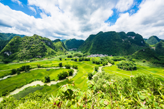 广西河池市东兰县夏日晴天的太极田景观