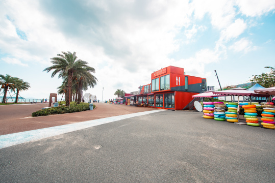 中国深圳大鹏金沙湾海滩的夏日棕榈