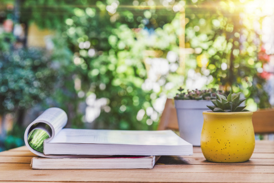 放在桌子上的书本和植物