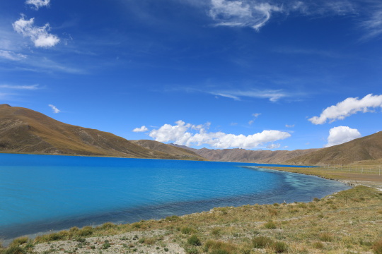 中国西藏高原湖泊羊湖