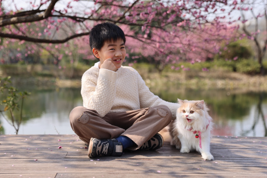 小男孩与宠物猫在梅花树下互动的温馨场景