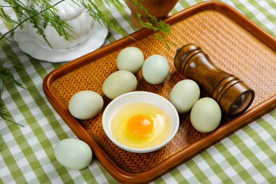 绿皮鸡蛋