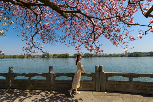 杭州西湖国宾馆站在紫玉兰树下的女人