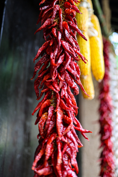 中国杭州永福寺悬挂的辣椒和玉米