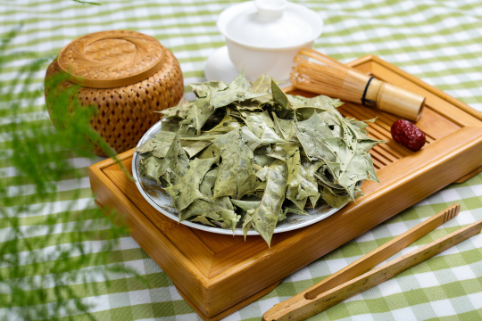 中药材功劳叶