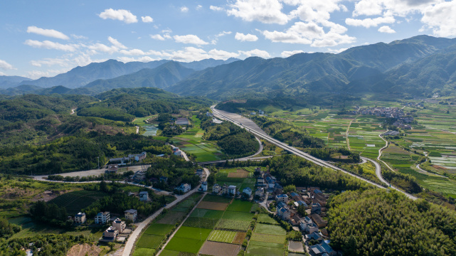 航拍乡村绿色稻田