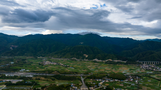 航拍乡村绿色稻田