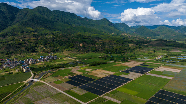 航拍武夷山绿色农田与茶园