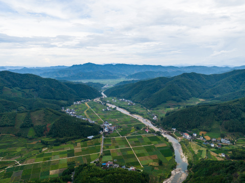 航拍福建武夷山绿色茶园 茶山