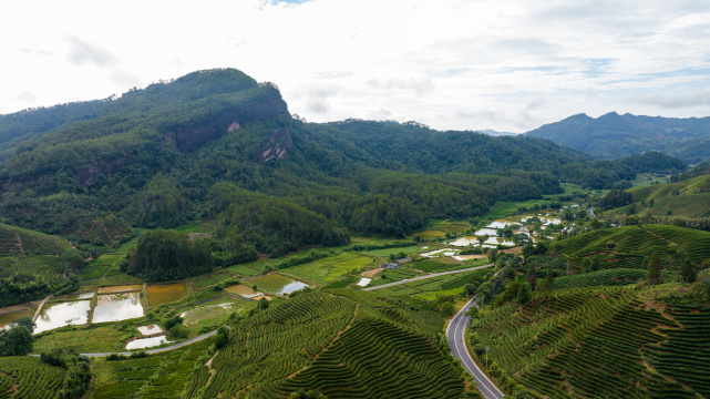 航拍武夷山绿色农田与茶园