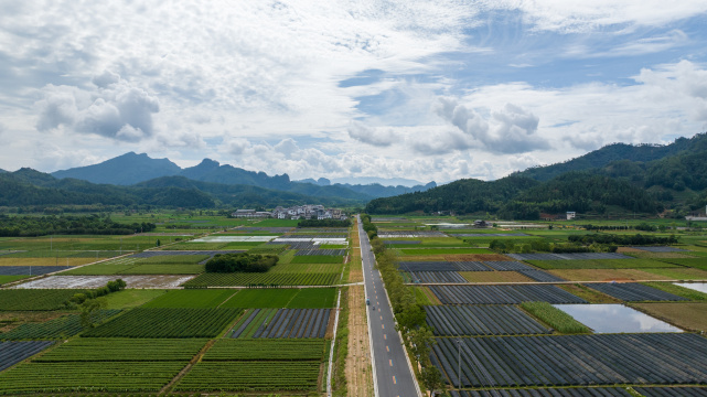 航拍武夷山绿色农田与茶园