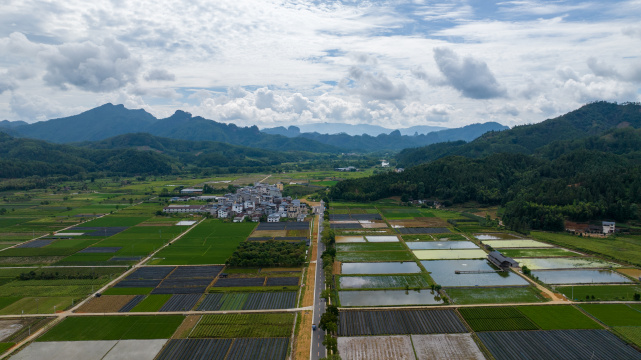 航拍武夷山绿色农田与茶园